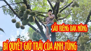 ✅BÍ QUYẾT CHẶN ĐỌT CỦA CHỊ HÀ Ở DAK NÔNG [upl. by Auj]