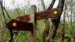 A Short Walk to the Mallyan Spout in Goathland [upl. by Enillebyam]