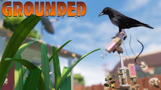 THE FIRST GROUNDED UPDATE IS AWESOME  Grounded  Gamplay Review Ep9 [upl. by Hanikehs902]