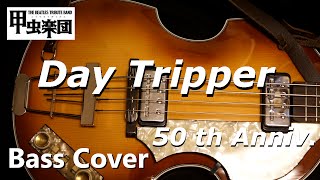 Day Tripper The Beatles  Bass Cover 50th Anniversary [upl. by Giustina502]