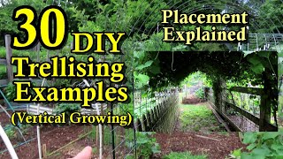 30 DIY Garden Trellising Examples Build Overview Crop Examples amp Placement Strategies [upl. by Aninahs616]