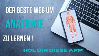 So wirst DU zum ANATOMIEPROFI  Anatomie lernen leicht gemacht [upl. by Akinehc895]