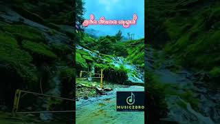 Nuwara wewataMusiczbro music newmusic livemusic newsong live shorts nature [upl. by Dulciana]