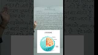 लाइसोसोम ll Lysosome by Dr Jyoti Sharma ncert cbse rbse [upl. by Leak929]