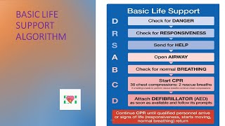 Basic Life Support BLS [upl. by Rinee422]