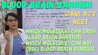 Blood Brain Barrier  Which types of Substances can Cross It and Which are Impermeable To It [upl. by Anyahs]