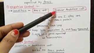 Arabinose Operon Part 3 Dr Preeti Dharmik [upl. by Neelrad408]