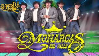 los Monarcas del valle  Mix de Huapangos 2020 Vol 1 [upl. by Yenttihw]