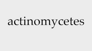 How to Pronounce actinomycetes [upl. by Goggin]