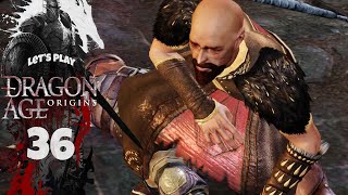 THE AILING ALIENAGE  Dragon Age Origins Lets Play Part 36 [upl. by Zavras]