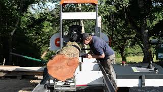 On the big Logosol B1001 bandsaw mill Goat Willow [upl. by Ravahs]