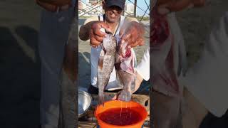 Ceviche de pescador buenazo peru chiclayo receta comidaperuana [upl. by Wohlert655]