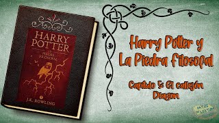 Harry Potter y la Piedra Filosofal  Capítulo 5  Audiolibro  Español Latino [upl. by Rudd88]