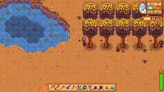 Get Lots of Hardwood by planting your Mahogany Seeds  Stardew Valley 16 [upl. by Sinnaiy]