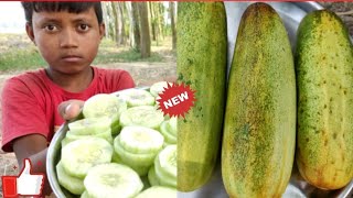 গরমের দুপুরে বিট নুন দিয়ে শসা খেলাম l Cucumber Sosha Recipe 😛 [upl. by Roe6]