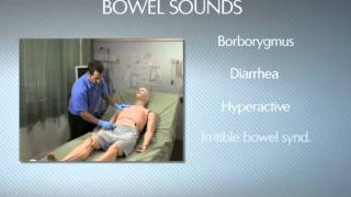 HAL® S3201  Part 9  Bowel sounds [upl. by Kapor22]