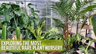 Rare Tropical Plant Nursery Tour  Aroid Greenhouses [upl. by Ecyob62]