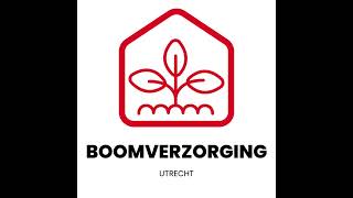 Het belang van boomverzorging voor de gezondheid van uw tuin [upl. by Bamberger584]