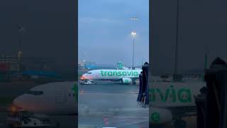 Transavia Airline Pushed Back at Amsterdam Schiphol Airport [upl. by Ettelegna]