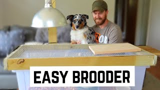 DIY Cheap and Easy Quail Brooder with Automation Features [upl. by Kotto]