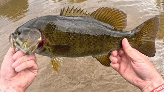 Ultra light fishing for scrappy smallies [upl. by Alexandra]