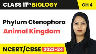 Phylum Ctenophora  Animal Kingdom  Class 11 Biology Chapter 4  CBSE 202425 [upl. by Ardnasyl]