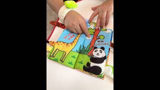 Finally found you Cloth books Early childhood education Baby toys Baby products recommendations [upl. by Norraj]