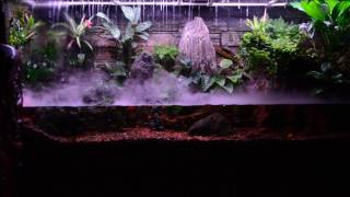 PaludariumThunderstorm Paludarium [upl. by Anawed134]