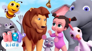 Les animaux pour bébé  son des animaux  HeyKids  Chansons pour enfants [upl. by Nitsir]