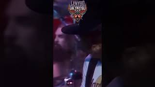 Lynyrd Skynyrd Epic and legendary live band [upl. by Eirrahs]