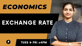 Exchange Rate  Economics  SSC amp UPSC [upl. by Yard]