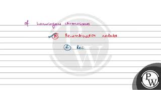 During gamete formation the enzyme recombinase participates during [upl. by Volnay]