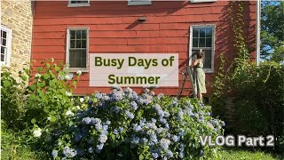 Vlog of Summer  Part 2 [upl. by Lesna996]