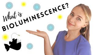 What is Bioluminescence – Science by Ashley [upl. by Amada]