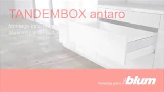 Blum TANDEMBOX antaro Inner Drawer Assembly Instructions [upl. by Einafets]