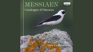 Catalogue doiseaux III Le merle bleu [upl. by Noryahs]