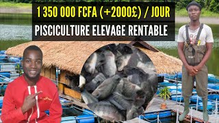 PISCICULTURE ELEVAGE TRES RENTABLE gagner 1 350 000 FCFA par jour en vendant des Larves de TILAPIA [upl. by Glen]