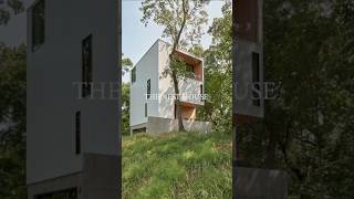 Amazing Nest House With Incredible Interior Spacesshortvideo motionart34❤️😱😱 [upl. by Soiritos]