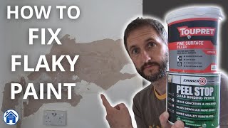 How to FIX FLAKY PAINT Peeling paint DIY repair How to use fine surface filler Flaking paint fix [upl. by Atnuahsal884]