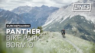 Panther  Bike Park Bormio  LINES [upl. by Biondo]