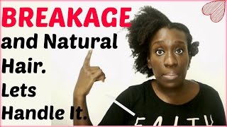 Causes of Natural Hair Breakage and Shedding  Tips for Type 4 Hair Breakage [upl. by Aisat]