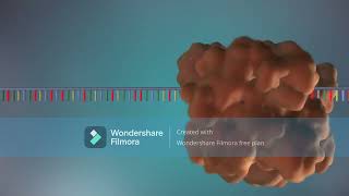 DNA Replication Animation [upl. by Nevai]