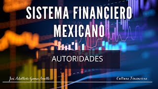 Sistema Financiero Méxicano Autoridades [upl. by Dlarrej]