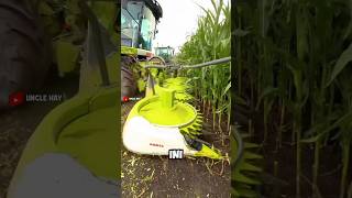 MESIN TEKNOLOGI CANGGIH UNTUK MEMANEN JAGUNG SANGAT MUTAKHIR UNTUK PETANI [upl. by Nel500]