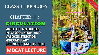 ROLE OF ARTERIOLE AND PRE CAPILLARY SPHINCTER IN VASOCONSTRICTION AND VASODILATION  11 BOLOGY [upl. by Elinnet]