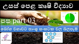 පස  part 03  soil  Agri Science  AL  Agricultural Science  agri science lessons sinhala [upl. by Ecnarolf]