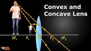 Convex and Concave Lenses [upl. by Scheider]