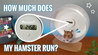 Niteangel Wheel Pedometer Review  Unboxing [upl. by Riplex]