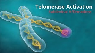 𝄞 Telomerase Activation  Telomere Rejuvenation for Eternal Youth V21  Classical Music [upl. by Jackquelin945]