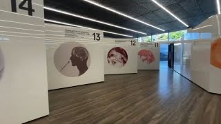 Fondazione Prada multidisciplinarietà per salvare il cervello [upl. by Esenahs]